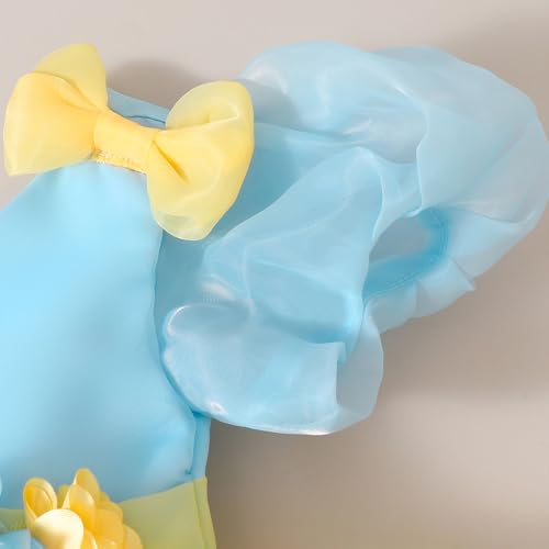 Hopscotch Girls Yellow Short Sleeves Floral Applique Party Dress for Age (18-24 Months)