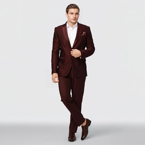 Raymond Ethnix Mens Wine Two-Piece Suit