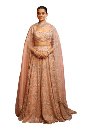 Women's Embellished Organza Lehenga with Sequins and Zardozi work