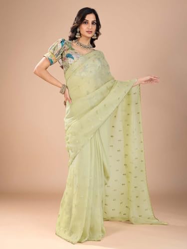 AKHILAM Women's Light Green Tissue Sequins Work Saree With Unstitched Blouse Piece (RANI2601_RN)
