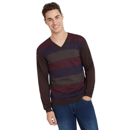 Park Avenue Men's Regular Fit Acrylic Wool Blend Full Sleeve V Neck Stripe Pattern Dark Brown Casual Sweater (Size: M)-PCWA00268-O8