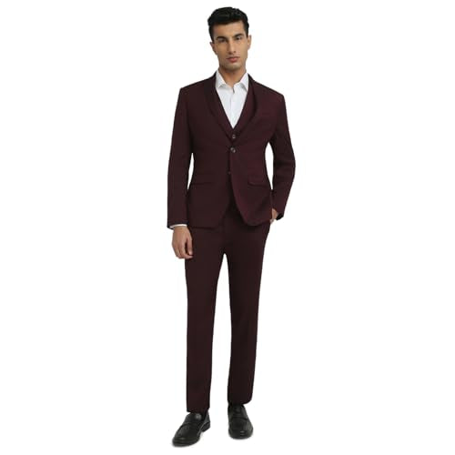 Park Avenue Men Modern Slim Fit Solid Pattern Terylene Rayon Blend Notch Lapel Full Sleeve Ceremonial Suit Maroon