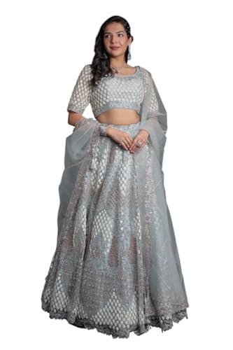 Women's Net Lehenga with Threadwork and Embellished Detailing