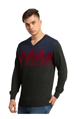 Colorplus Tailored Fit Beige Sweater for Men