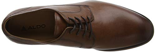 Aldo Men's RICMANN Brown Leather Formal Shoes-6 UK (39 EU) (7 US) (RICMANN230)