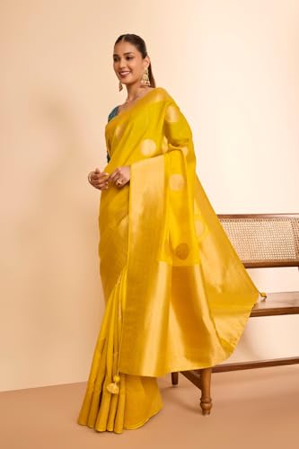 Taneira Women Red Viscose Organza Contemporary Embroidery Saree with Unstitched Blouse (SACP07AD5014 - Red)