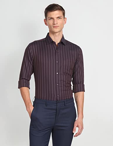 Arrow Men's Striped Slim Fit Shirt (ARAFSH0732_Plum