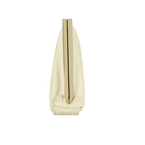 Lavie Luxe Pleatz Solid Synthetic Zipper Closure Women's Clutch (OFF_WHITE,MEDIUM)