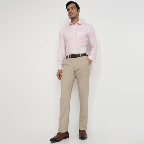 Park Avenue Men Regular Fit Solid Pattern Poly Viscose Blend Flat Front Formal Trouser Fawn