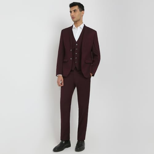 Park Avenue Men Modern Slim Fit Solid Pattern Terylene Rayon Blend Notch Lapel Full Sleeve Ceremonial Suit Maroon