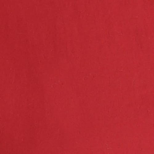 Pepe Jeans Women's Regular Fit Shirt (PL305085_HOT RED