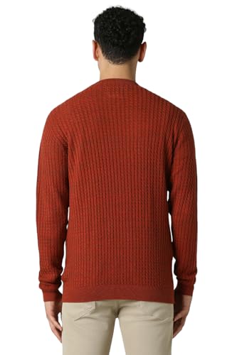 Van Heusen Men Red Textured Crew Neck Sweater
