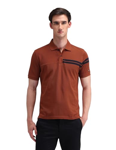 Arrow Sports Men's Striped Regular Fit Polo Shirt (ASAITS3226_Rust