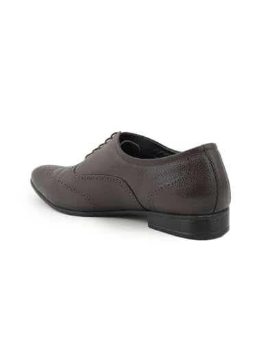RAI SAHAB Formal Shoe for Men | Lace-Up Oxfords for Business & Casual Wear | Stylish Design with Comfortable Fit for All-Day Support(6405BRN-12UK) Brown