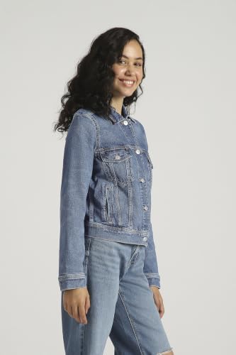 American Eagle Strigid Denim Jacket