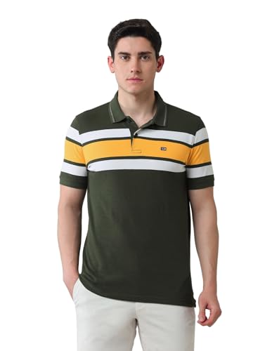 Arrow Sports Men's Striped Regular Fit Polo Shirt (ASAJTS3407_Olive