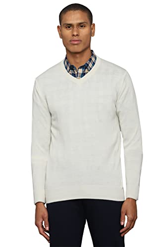 Allen Solly Men Cream Textured Crew Neck Full Sleeves Sweater