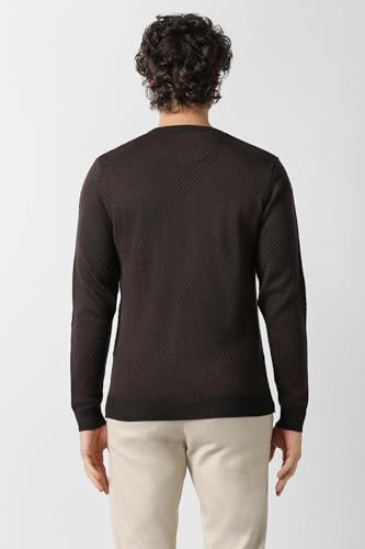 Men Brown Textured Crew Neck Sweater
