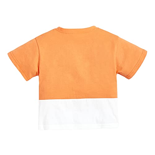 Hopscotch Boys Cotton Printed Animal Print T-Shirt Shorts Set In Orange Color for Ages 4-5 Years