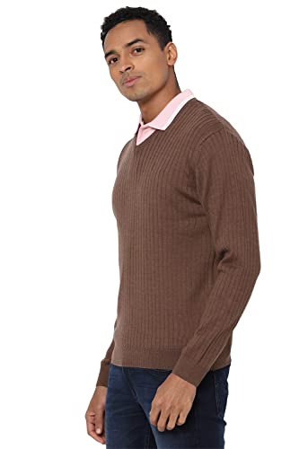 Allen Solly Brown Sweater