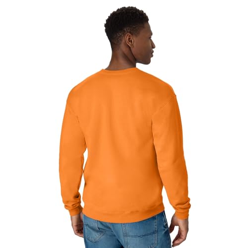 Hanes Men's EcoSmart Fleece Sweatshirt