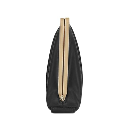 Lavie Luxe Pleatz Solid Synthetic Zipper Closure Women's Clutch (BLACK,MEDIUM)