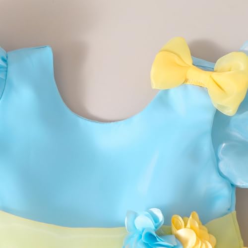 Hopscotch Girls Yellow Short Sleeves Floral Applique Party Dress for Age (5-6 Years)