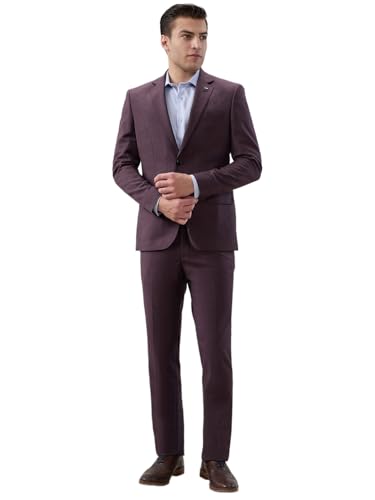 Park Avenue Maroon Solid Pattern Men Suit