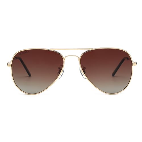 Tommy Hilfiger Eyewear | Brown Lens | Gold Frame | Full Rim Aviator Shape Branded Latest and Stylish Sunglasses | 100% UV Protection | Mens Sunglasses| Size Medium | TH 1573 C1 S