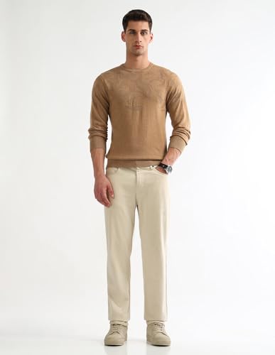 Arrow Men's Textured Regular Fit Sweater