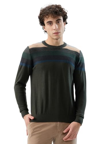 Raymond Men Regular Fit Stripe Pattern Merino Wool Acrylic Blend Full Sleeve Round Neck Casual Sweater Green