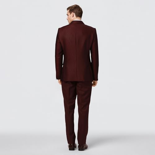 Raymond Ethnix Mens Wine Two-Piece Suit