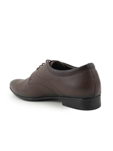 RAI SAHAB Formal Shoe for Men | Lace-Up Derby for Business & Casual Wear | Stylish Design with Comfortable Fit for All-Day Support(6401BRN-11UK) Brown