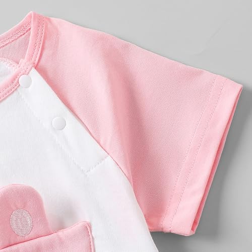 Hopscotch Bunny Applique Raglan Sleeves Onesie (12-18 Months)