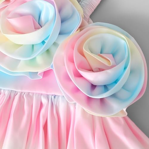 Hopscotch Girls Multi Sleeveless Floral Applique Balloon Hem Dress for Age (4-5 Years)