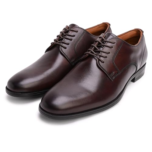 Aldo INTANJAY Men Brown Brogues
