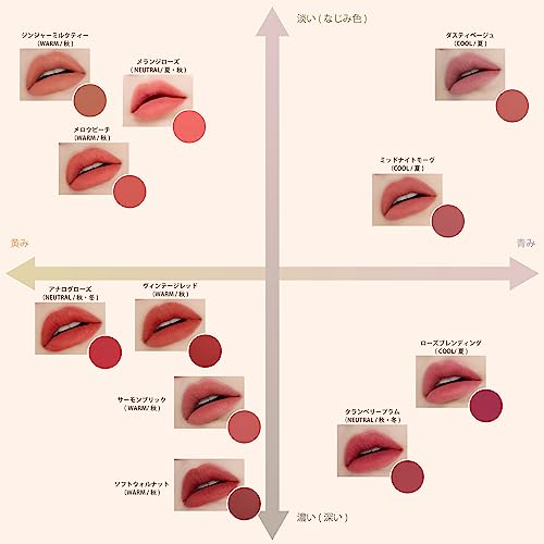 ETUDE Fixing Tint| Long Lasting High Pigmented Liquid Lipstick |Waterproof Lightweight Matte Finish Lip Stain| Full Coverage| #12 Salmon Brick-4g (Pack of 2)