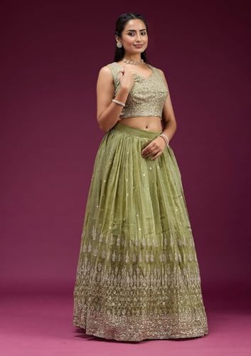 Fab Window Women's Silk Lehenga with Embroidered Unstitched Blouse and Dupatta, Ethnic (Semi Stitched_Free size). (Olive Green)