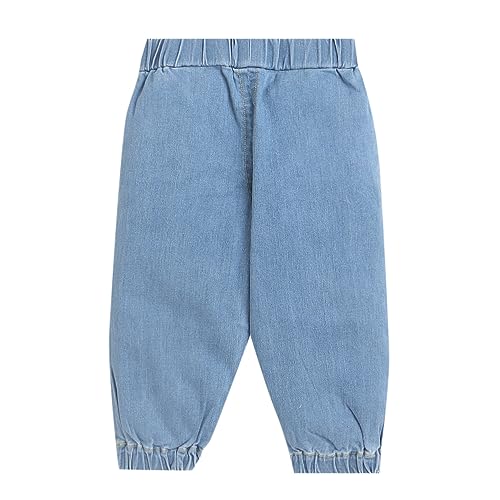 Hopscotch Boys Cotton Animal Printed Tee, Jacket And Pant Set In Blue Color For Ages 2-3 Years (YUE-3115217)