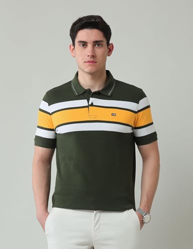 Arrow Sports Men's Striped Regular Fit Polo Shirt (ASAJTS3407_Olive