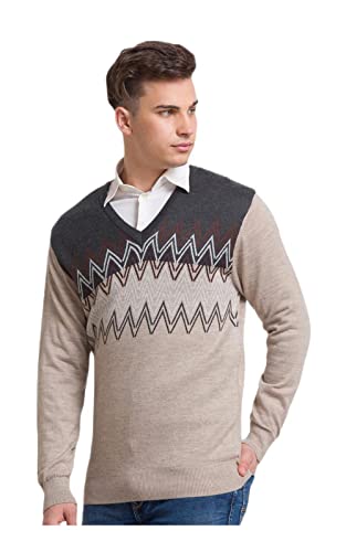 Colorplus Tailored Fit Beige Sweater for Men