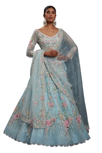 Women's Sky Blue Net Panel Style Reception Lehenga