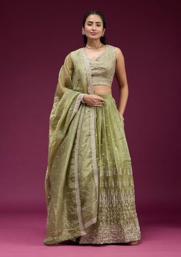 Fab Window Women's Silk Lehenga with Embroidered Unstitched Blouse and Dupatta, Ethnic (Semi Stitched_Free size). (Olive Green)
