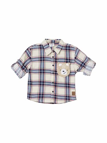 Max Boys Checked Shirt (Blue_18-24 M)