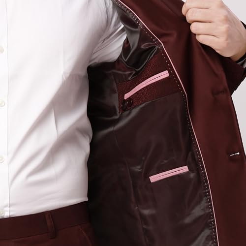 Raymond Ethnix Mens Wine Two-Piece Suit