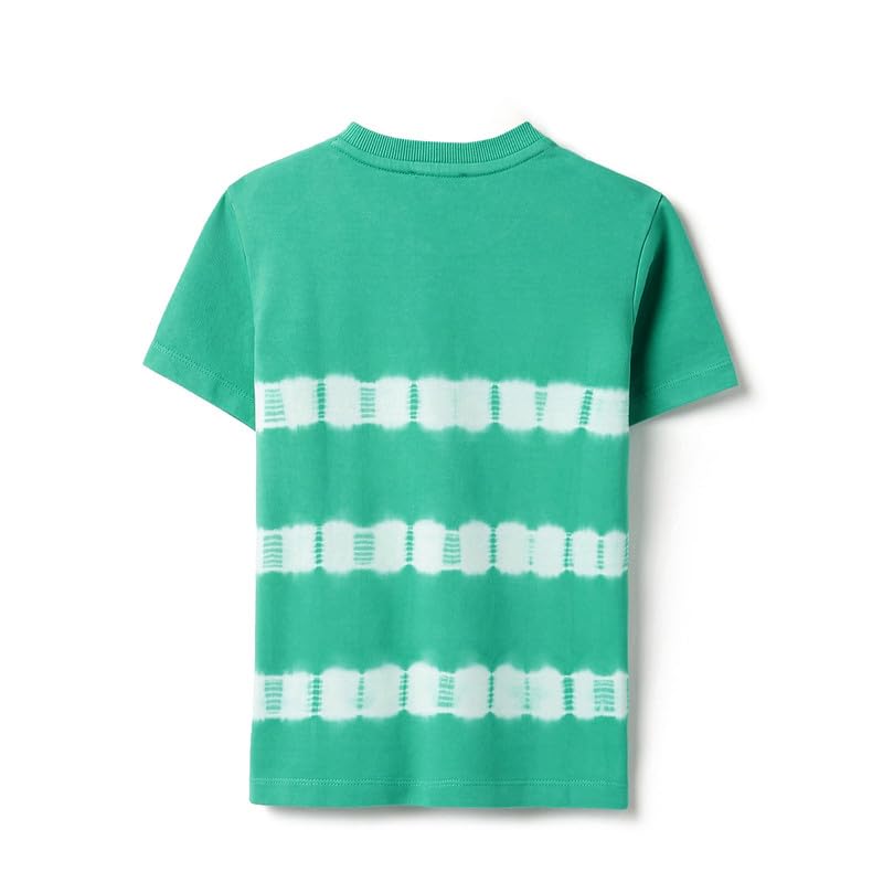 United Colors of Benetton Regular Fit Round Neck Tie & Dye Striper T-Shirt