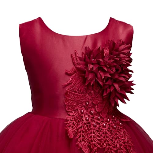 Hopscotch Girls Floral Applique Sleeveless Slim Fit Party Dress in Red Color for Ages 3-4 Years