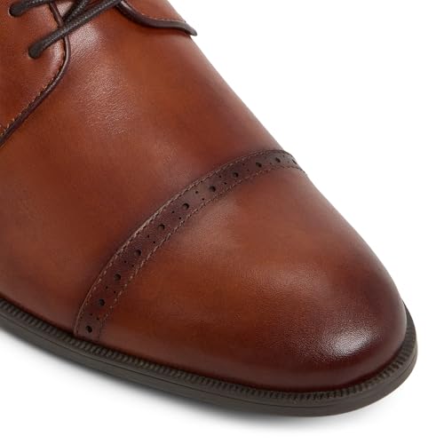 Aldo BRONKOA Men Brown Dress Lace Up