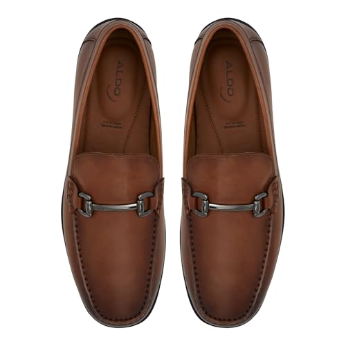 Aldo EVOKE220043 Men Brown Moccasins