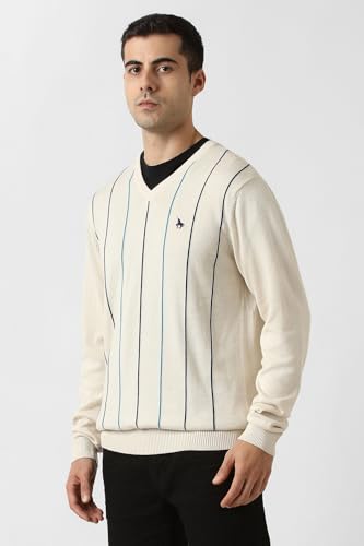 Men Beige Stripe V Neck Sweater